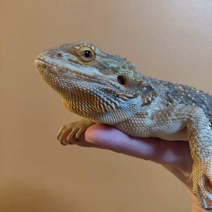 Emergency Veterinary Hospital Picture 6