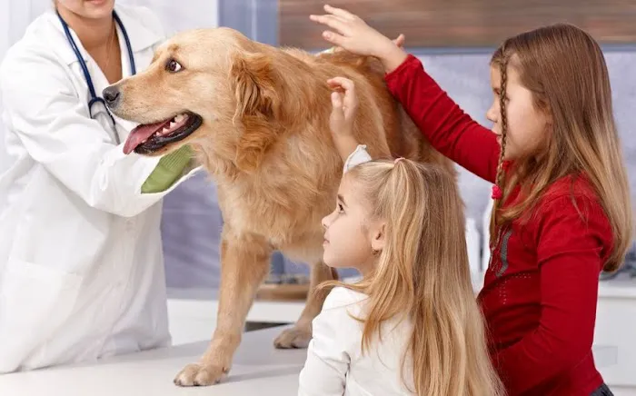 Emergency Veterinary Hospital Picture 9