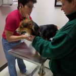 Parkway Animal Clinic