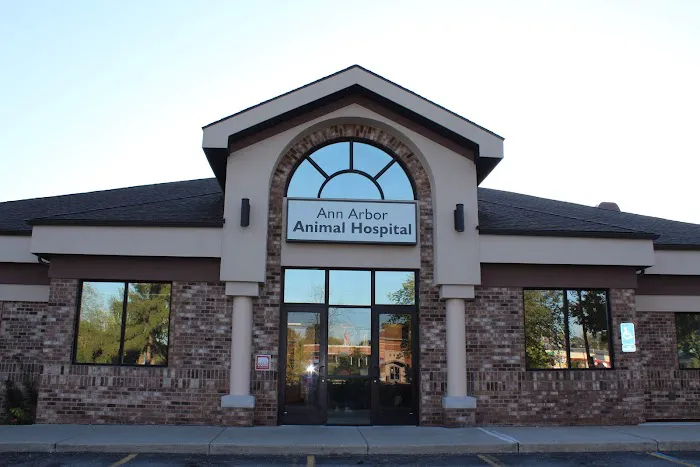 Ann Arbor Animal Hospital Picture 2