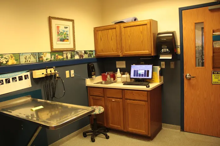 Ann Arbor Animal Hospital Picture 6
