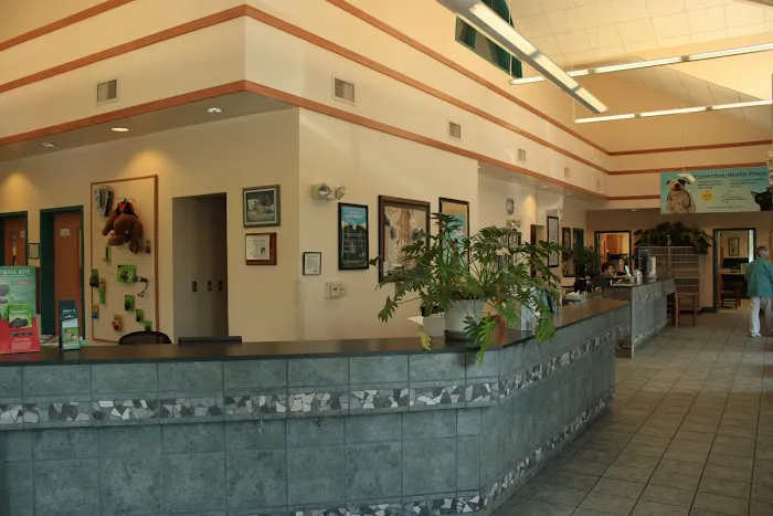 Ann Arbor Animal Hospital Picture 9