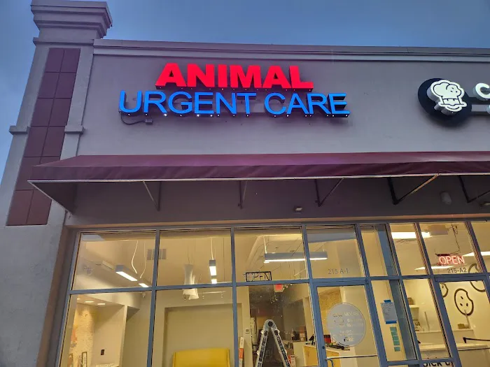 Animal Urgent Center Picture 10
