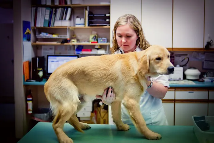 Pennfield Animal Hospital Picture 6