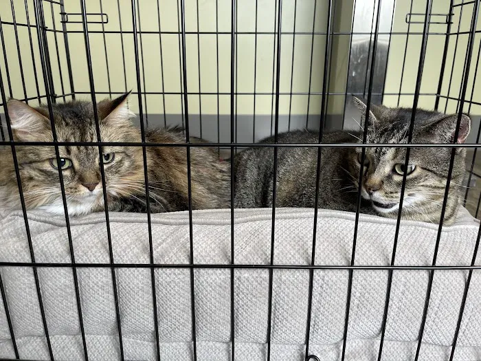 Town & Country Animal Hospital, Inc. Picture 6