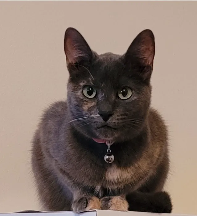 Apple Grove Veterinary Care Picture 1