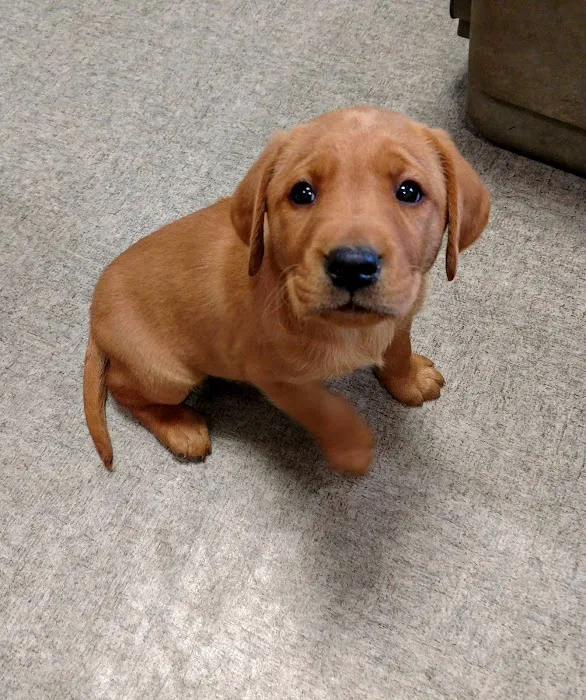 Apple Grove Veterinary Care Picture 5