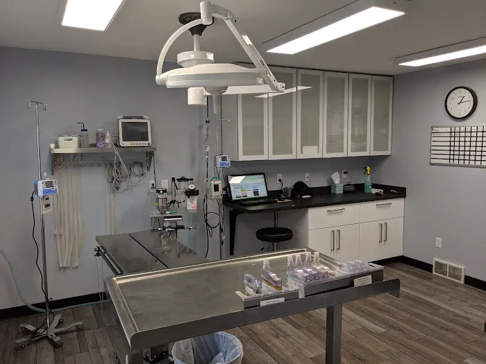 Eastwood Veterinary Hospital Picture 5