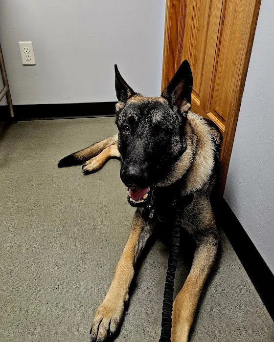 Eastwood Veterinary Hospital Picture 4
