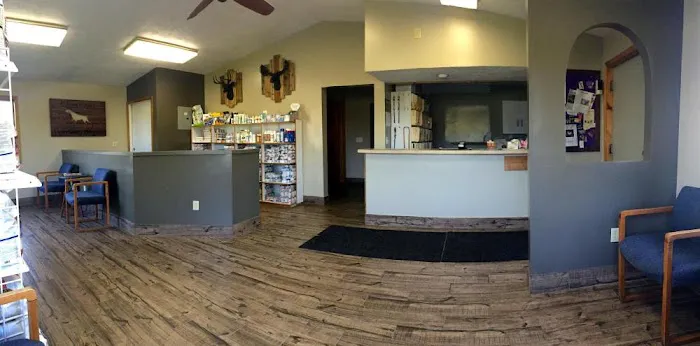 Eastwood Veterinary Hospital Picture 6