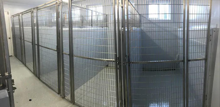 Eastwood Veterinary Hospital Picture 8