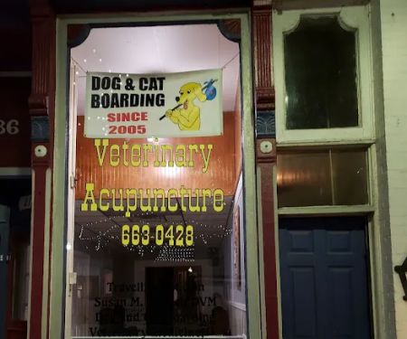 Veterinary Acupuncture