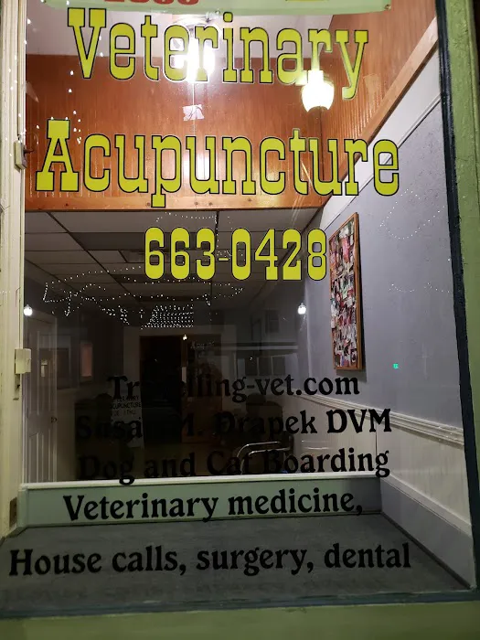 Veterinary Acupuncture Picture 3
