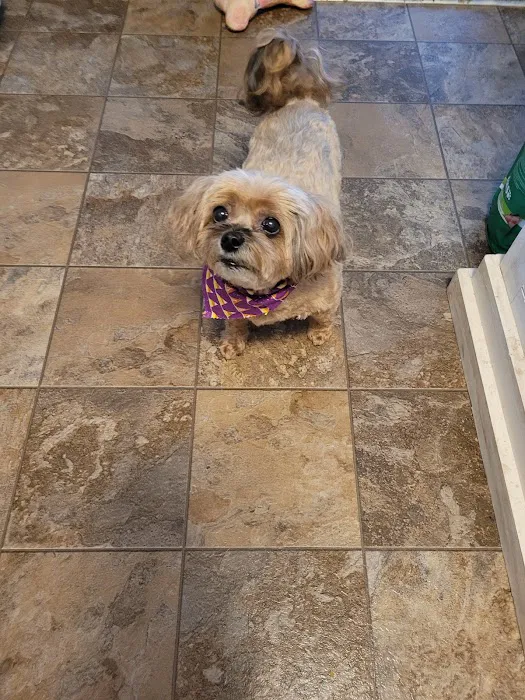Turner Veterinary Clinic Picture 2