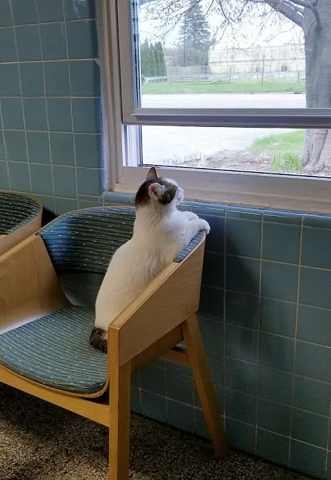 Turner Veterinary Clinic Picture 4