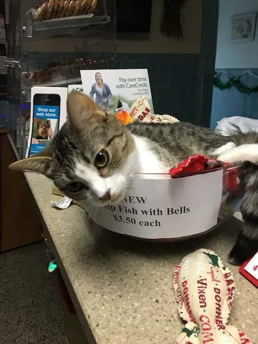 Turner Veterinary Clinic Picture 6