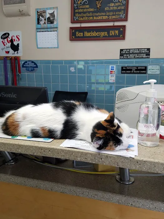 Turner Veterinary Clinic Picture 8