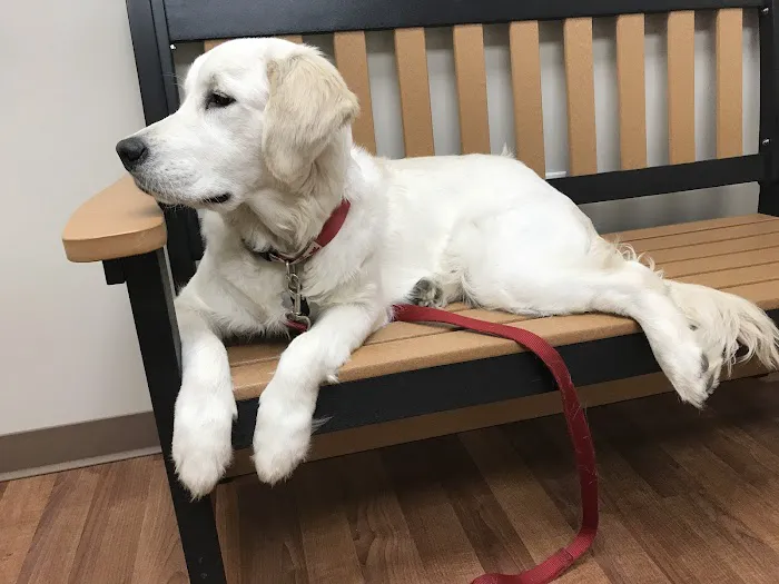 Lakeview Animal Hospital Picture 4