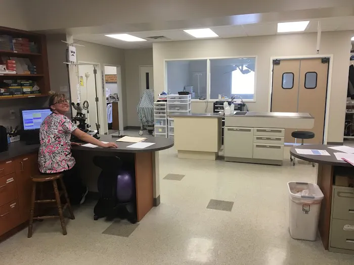 Lakeview Animal Hospital Picture 7