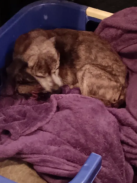 VCA Portage Animal Hospital Picture 7