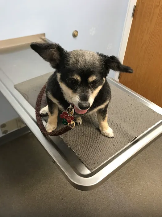 Shaver Road Animal Hospital Picture 2