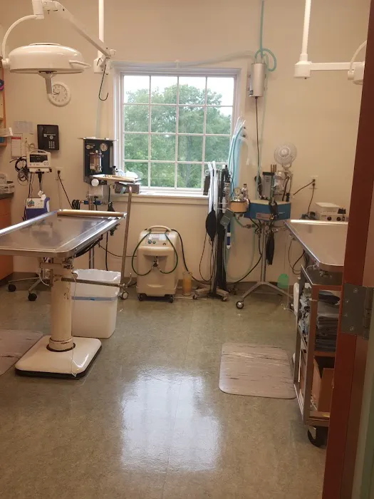 Schoolcraft Veterinary Picture 5