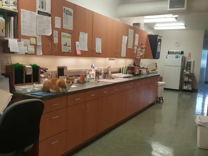 Schoolcraft Veterinary Picture 10