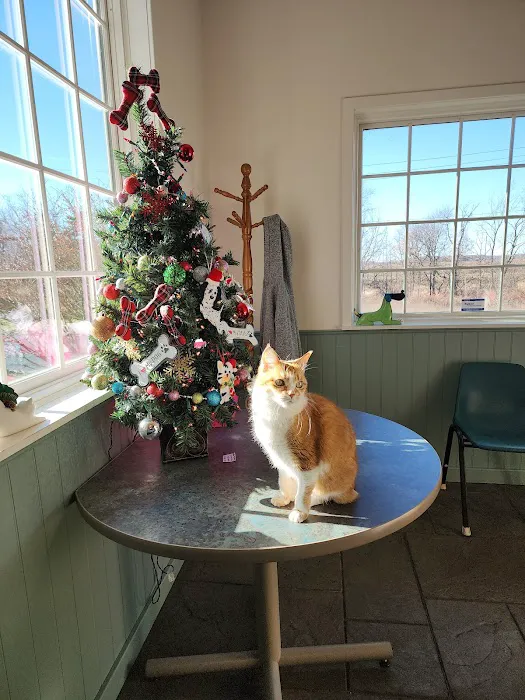 Schoolcraft Veterinary Clinic: Bandkau Doug L DVM Picture 7