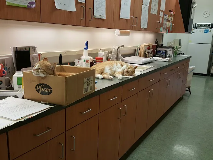 Schoolcraft Veterinary Clinic: Sauer Paula DVM Picture 7