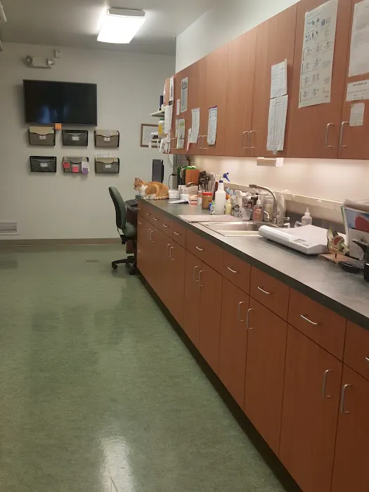 Schoolcraft Veterinary Clinic: Sauer Paula DVM Picture 3