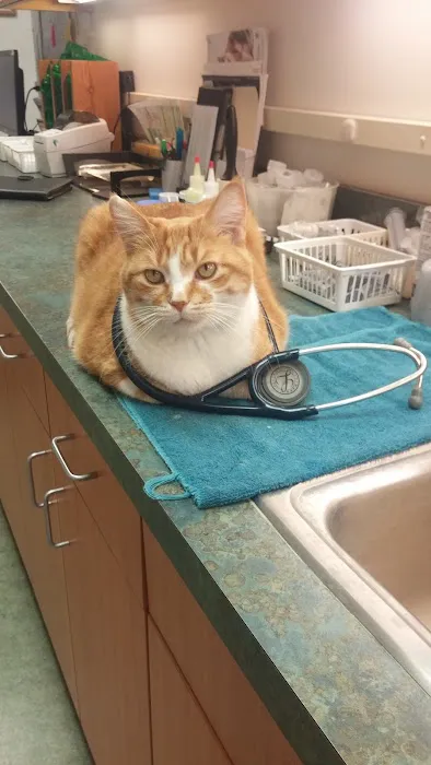 Schoolcraft Veterinary Clinic: Sauer Paula DVM Picture 5