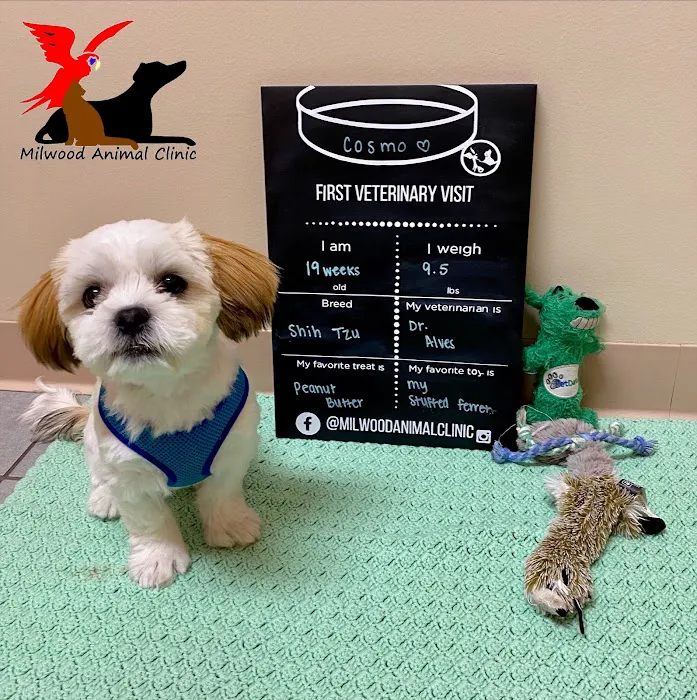 Milwood Animal Clinic Picture 2