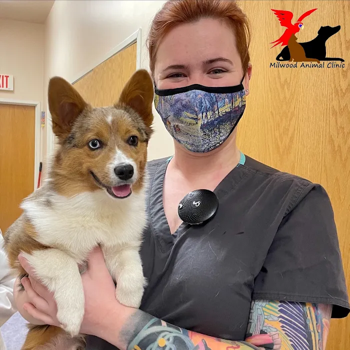 Milwood Animal Clinic Picture 8