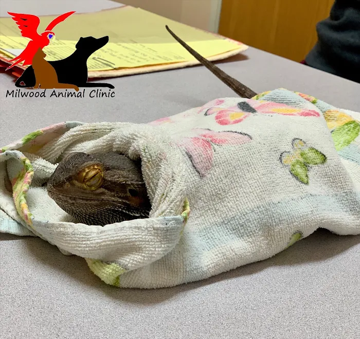 Milwood Animal Clinic Picture 9