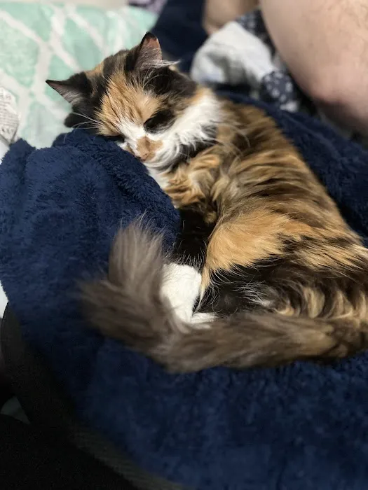 Peaceful Moments Veterinary Care Picture 1
