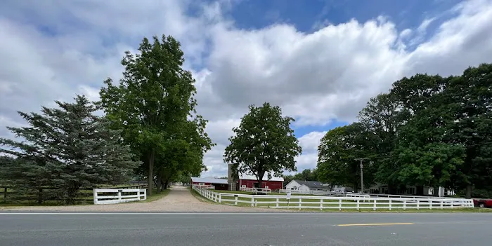 Allen Equine Veterinary Services Picture 2