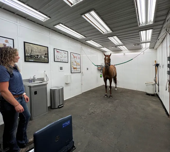 Allen Equine Veterinary Services Picture 3