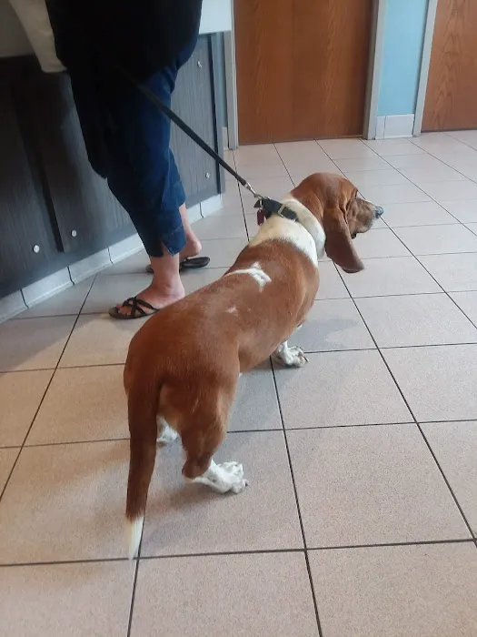 Sprinkle Road Veterinary Clinic Picture 10