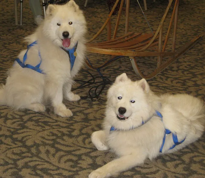 Silver Lake Small Animal Veterinary Clinic Picture 6
