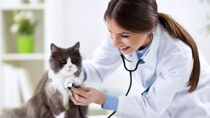 Silver Lake Small Animal Veterinary Clinic Picture 9