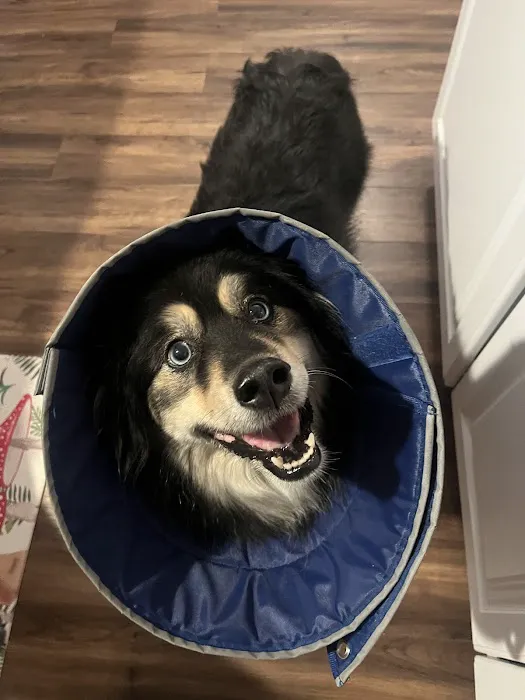 Akron Vet Clinic Picture 1