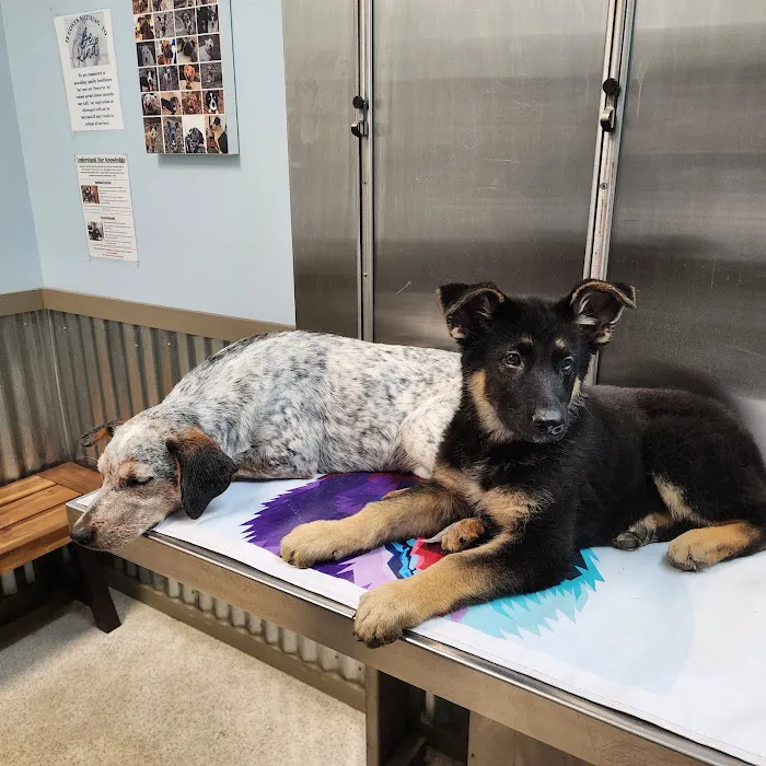 Lake Hartwell Veterinary Clinic Picture 9