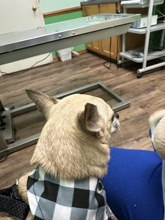 Platt Springs Road Animal Clinic Picture 6