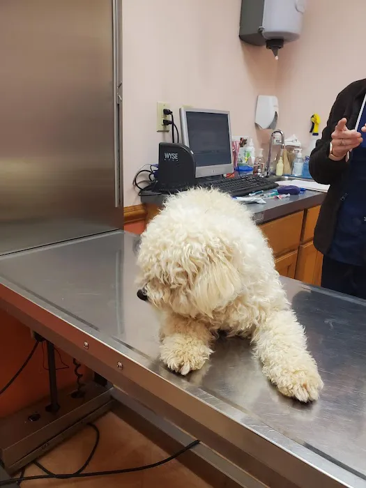 Platt Springs Road Animal Clinic Picture 8