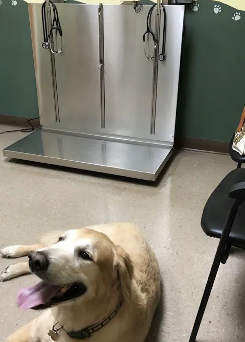 Crossroads Veterinary Services Picture 6