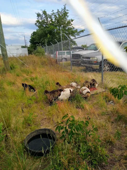Crossroads Veterinary Services Picture 10