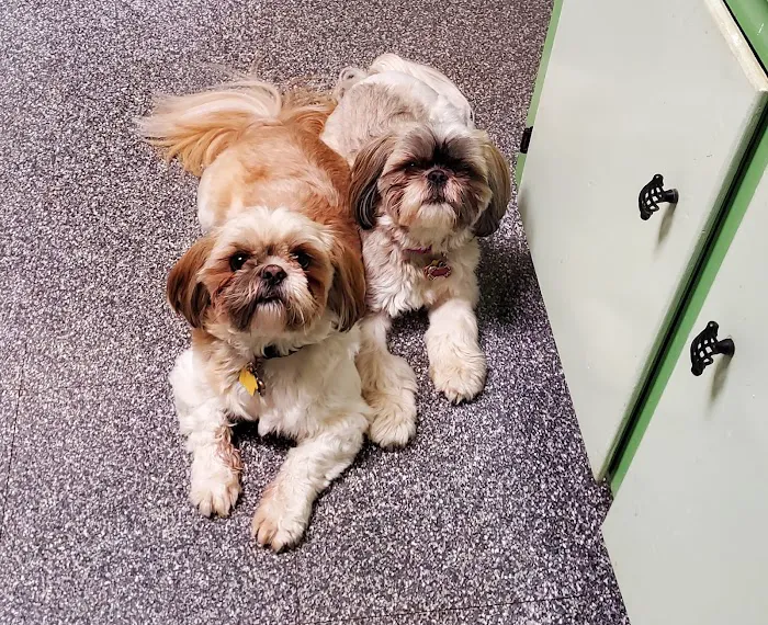 Banfield Pet Hospital Picture 9
