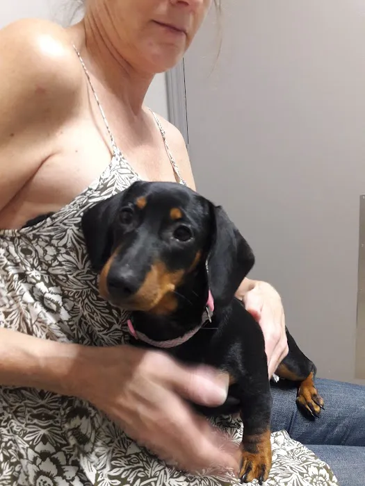 Millcreek Animal Hospital Picture 2