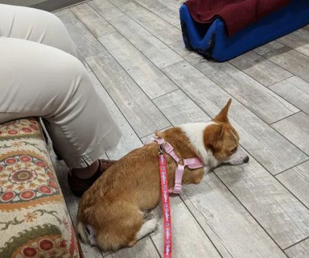 Millcreek Animal Hospital
