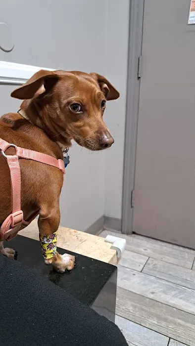 Millcreek Animal Hospital Picture 9